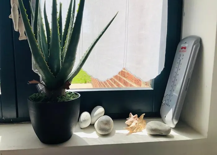 La Muche Valéricaine, Coeur De Ville, Jardin * Saint-Valery-sur-Somme