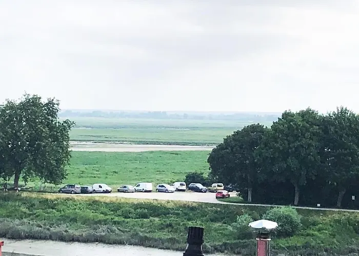 La Muche Valéricaine, Coeur De Ville, Jardin *