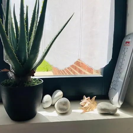 La Muche Valericaine, Coeur De Ville, Jardin * Saint-Valéry-sur-Somme