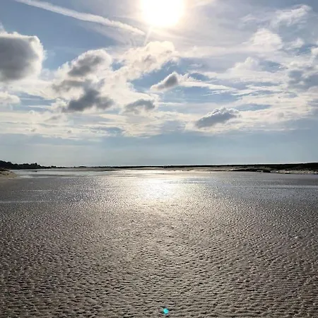 La Muche Valericaine, Coeur De Ville, Jardin *